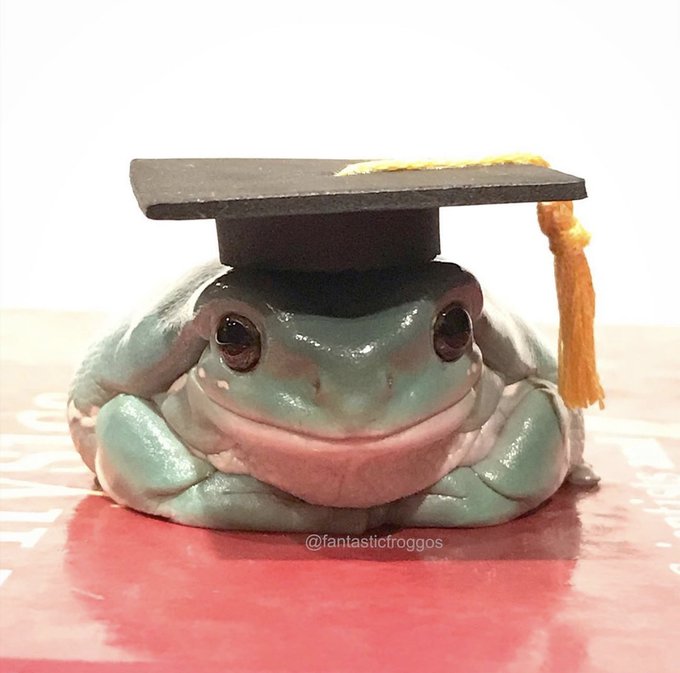 Una rana con un sombrero de graduación